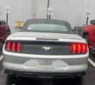 Used 2018 Ford Mustang Premium image 4