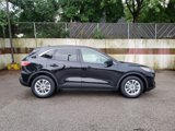 Used 2020 Ford Escape SE image 4