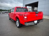 Used 2018 Ford F150 XLT w/ Equipment Group 302A Luxury image 3