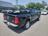 Used 2009 Dodge Dakota Big Horn image 3