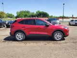 New 2025 Ford Escape Active w/ Cold Weather Package image 4