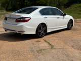 Used 2016 Honda Accord Sport image 5