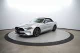 Used 2019 Ford Mustang Premium image 4