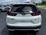 Used 2020 Honda CR-V EX-L image 4
