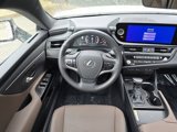 Certified 2024 Lexus ES 350 w/ Premium Package image 4