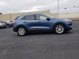 Used 2020 Ford Escape SE image 4