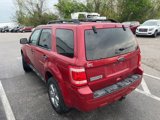 Used 2011 Ford Escape XLT w/ 202A Rapid Spec Order Code image 4