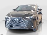 Used 2024 Lexus NX 250 FWD image 5