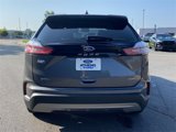 Used 2024 Ford Edge SEL image 4