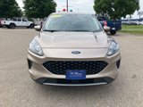 Certified 2020 Ford Escape SE image 3