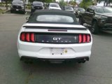 Used 2018 Ford Mustang Premium image 2