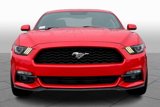 Used 2016 Ford Mustang Premium w/ Enhanced Security Package image 3