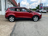 Used 2014 Ford Escape SE w/ Equipment Group 201A image 2