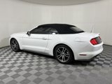 Used 2017 Ford Mustang Premium image 4