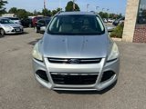 Used 2014 Ford Escape Titanium image 2