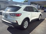 Used 2020 Ford Escape SE image 5