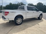 Used 2012 Ford F150 Platinum image 5