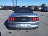 Certified 2022 Ford Mustang Premium image 4