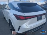 Used 2024 Lexus RX 350 image 5