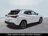 New 2025 Lexus UX 300h AWD w/ Cold Area Package image 6