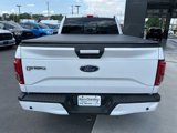 Used 2017 Ford F150 XLT image 6
