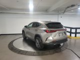 Used 2022 Lexus NX 350 AWD w/ Premium Package image 5