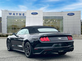 Used 2023 Ford Mustang Premium image 4