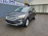 Used 2019 Ford Escape SE image 2
