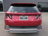 Used 2025 Hyundai Tucson Limited image 5