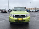 Used 2012 Ford Escape XLT image 3