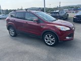 Used 2014 Ford Escape Titanium image 2