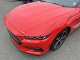 Used 2024 Ford Mustang Premium image 3