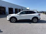 Used 2020 Ford Escape SE image 2
