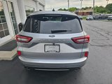 Used 2024 Ford Escape ST-Line w/ Equipment Group 301A image 5