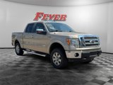 Used 2012 Ford F150 Lariat w/ Lariat Chrome Pkg image 3