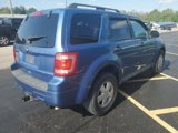 Used 2010 Ford Escape XLT image 3