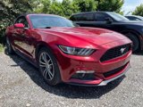 Certified 2017 Ford Mustang Premium image 3