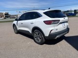 Used 2022 Ford Escape SEL image 3