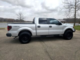 Used 2013 Ford F150 XLT w/ Luxury Equipment Group image 5