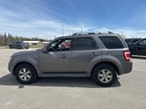 Used 2010 Ford Escape Limited image 3