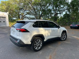 Used 2019 Toyota RAV4 XLE Premium image 5