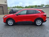 Used 2024 Ford Escape Active image 2