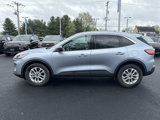 Used 2022 Ford Escape SE w/ Convenience Package image 4