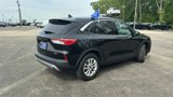 Certified 2022 Ford Escape SE w/ Convenience Package image 4
