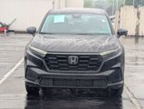 Certified 2024 Honda CR-V LX image 3