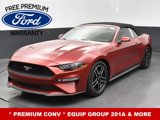 Used 2021 Ford Mustang Premium w/ Equipment Group 201A image 2