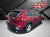 Used 2019 Toyota RAV4 XLE image 2