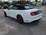 Certified 2023 Ford Mustang Premium image 5