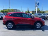 Certified 2022 Ford Escape SE w/ Cold Weather Package image 4