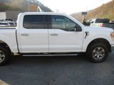 Certified 2022 Ford F150 XLT w/ Equipment Group 302A High image 3